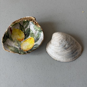 May include: Two seashells, one with a gold rim and painted with lemons and green leaves, the other a natural gray shell.
