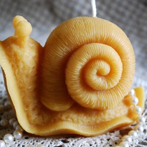 Beeswax Candle Snail Mollusk Shaped Candle