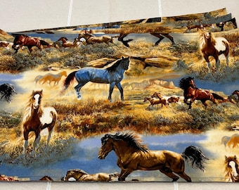 Horse Table Decor Placemats Everyday Wild Sky Field Rock Set of 4 Washable