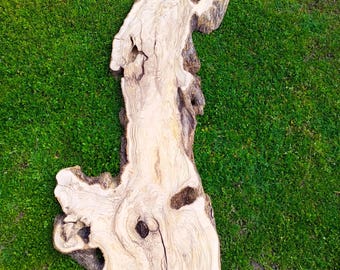 May include: A long, irregular slab of light-colored wood featuring a prominent natural grain pattern, dark brown knots, and textured bark edges. The surface displays organic swirls and fissures throughout the length of the wooden piece.