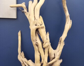 Rama de madera de olivo