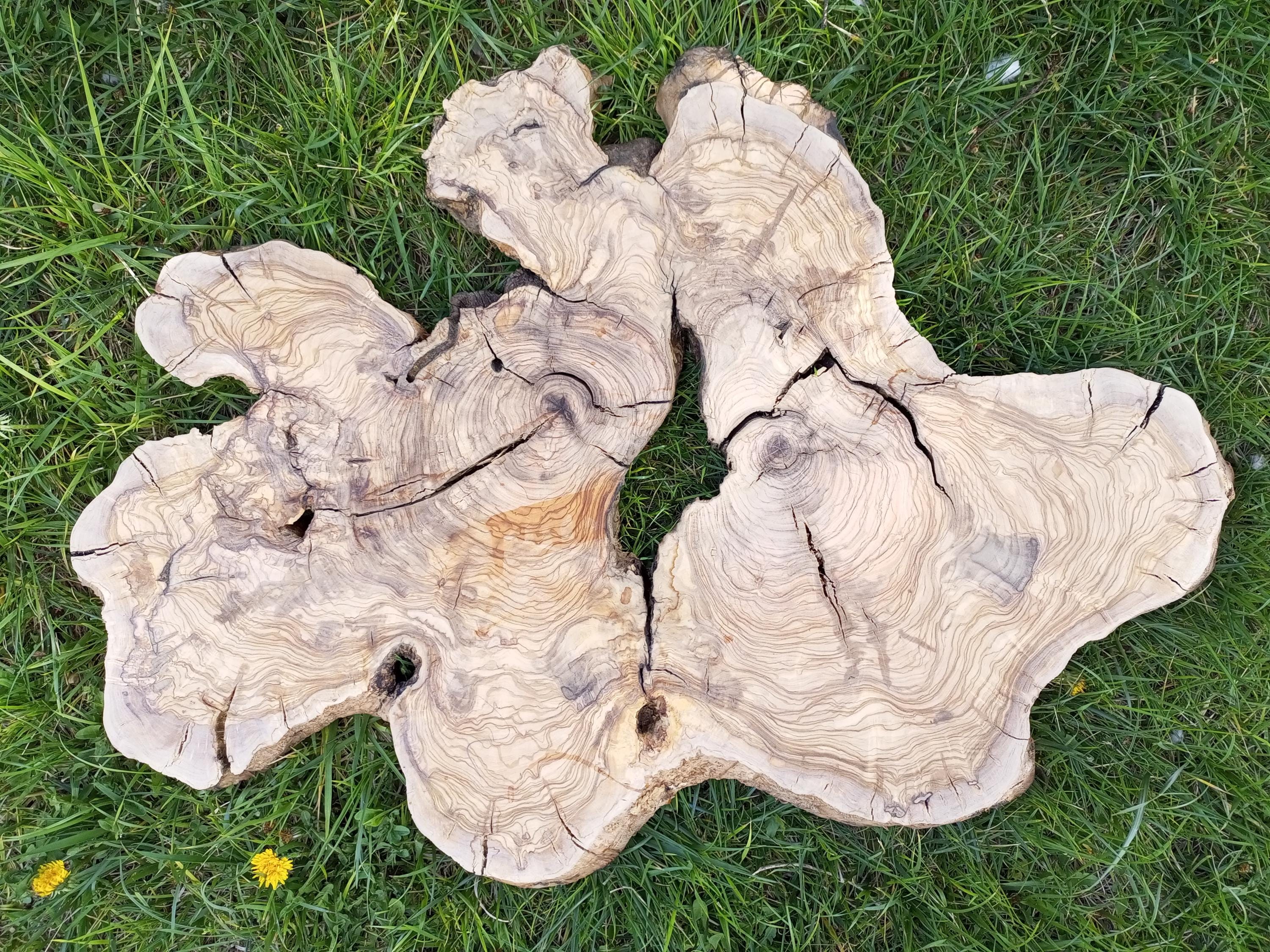 Live Edge Olive Wood Slab: Epoxy Coffee Table Piece (27.5/20.8/1.37 inch)