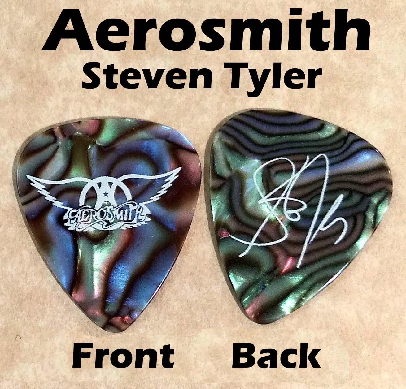 Aerosmith エアロスミス Steven ギターピック