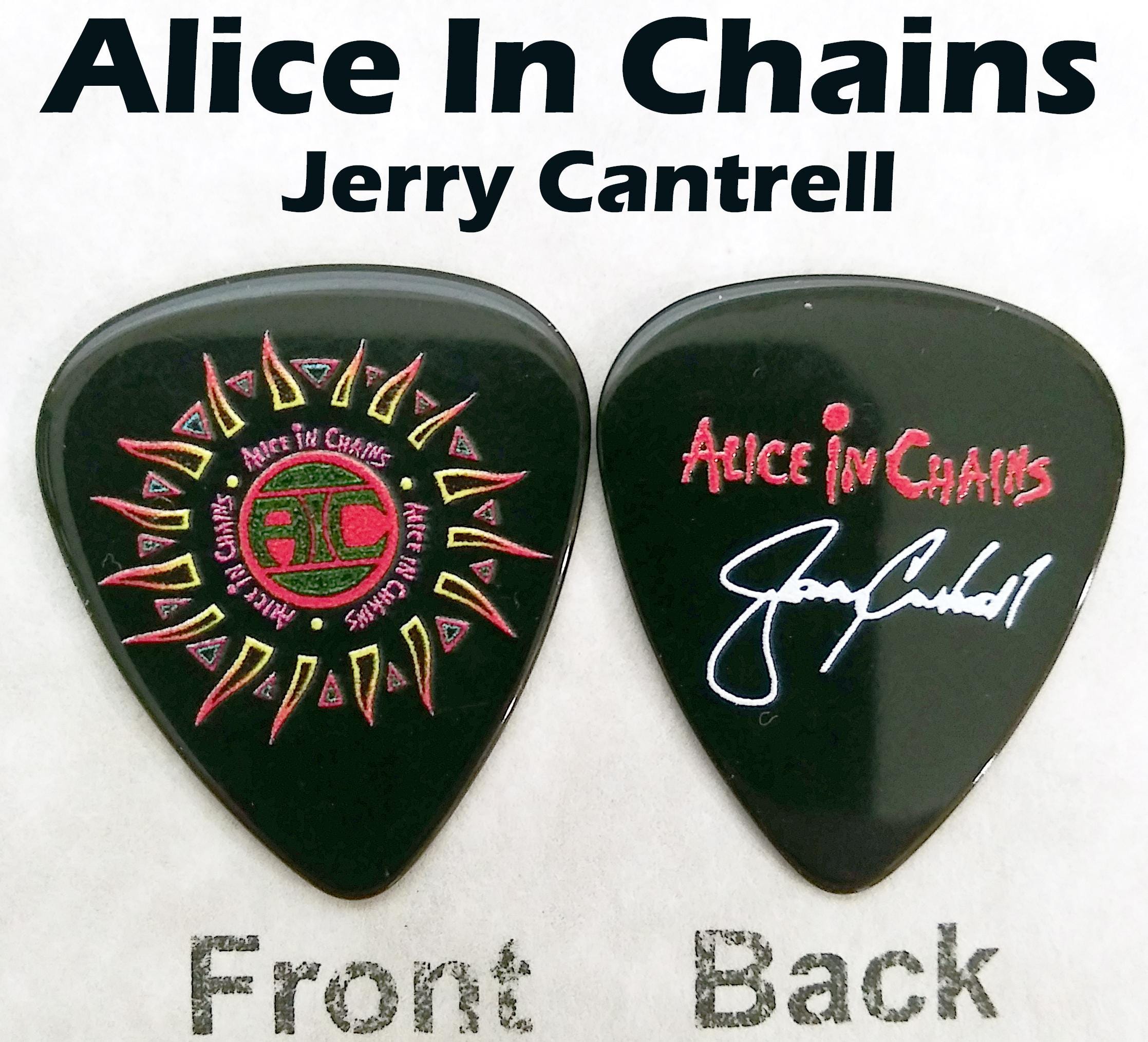Alice in Chains アリス・イン・チェインズ DIRT ギターピック Alice in Chains Jerry C. Rock Band Signature Guitar Pick