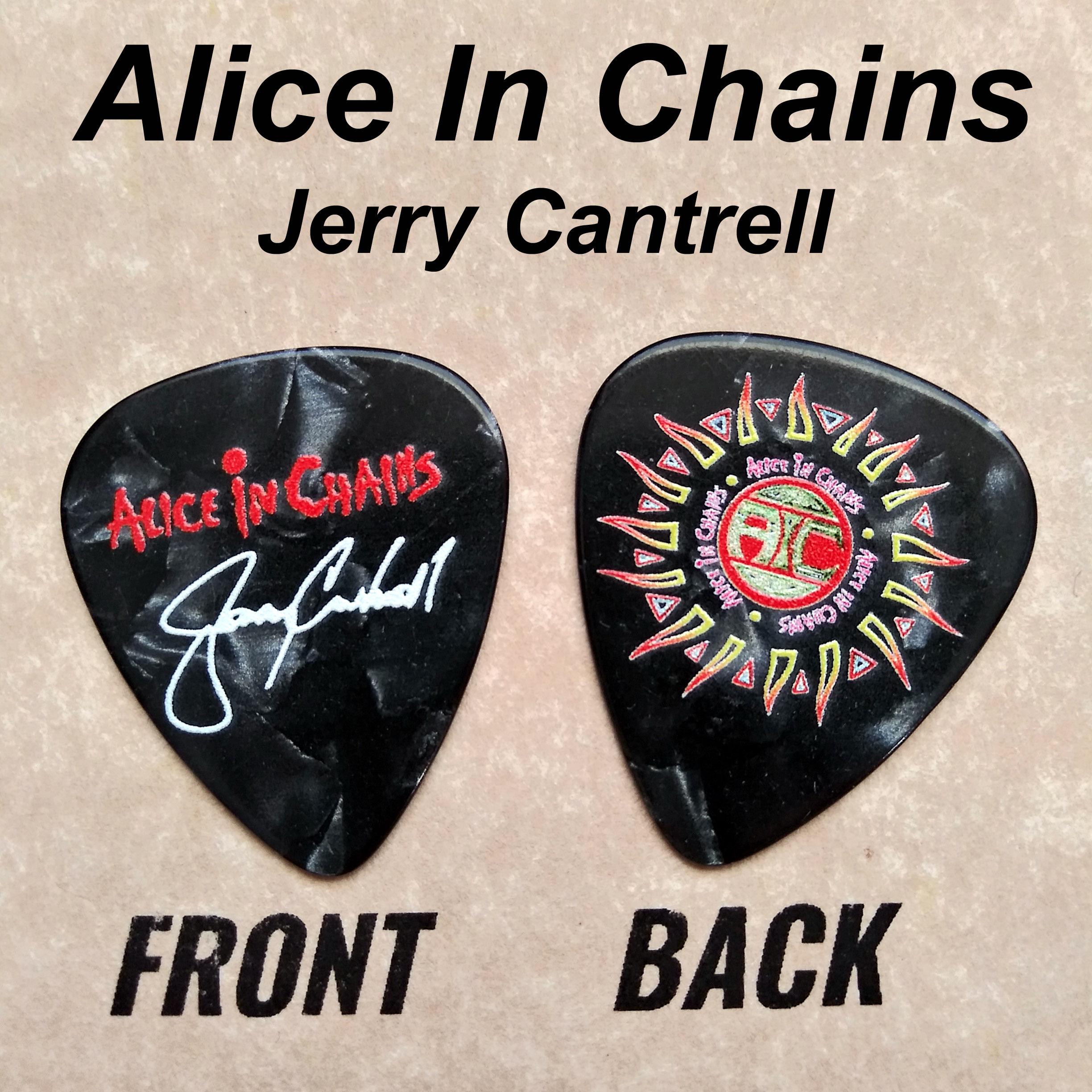 Alice in Chains アリス・イン・チェインズ ギターピック