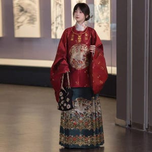 Winter Chinese New Year Traditional Outfit, Daily Hanfu Dress for Woman,New Modern China Hanfu Dress, Plus Size Horse-face Skirt Suit
