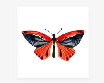 Beauty: Butterfly art print