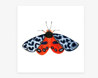 Integrity: Tiger Moth art print, Watercolor Butterfly Giclee print by Seattle Artist Misha Zadeh