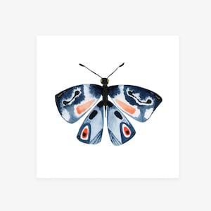 Creativity: Watercolor Butterfly Art Print by Misha Zadeh image 1