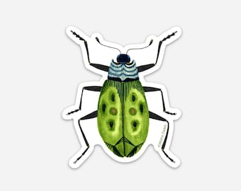 ¡Nuevo! Escarabajo: Serenidad, pegatina de vinilo troquelada