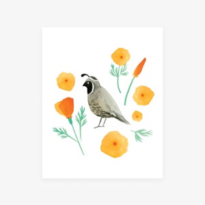Quail and California Poppies Archival Giclée art print of an original watercolor painting by Misha Zadeh, state bird art, state flower art image 1