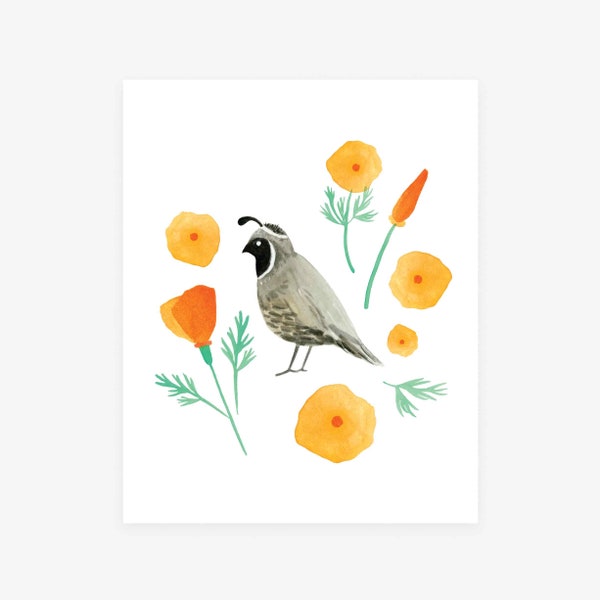 Quail and California Poppies Archival Giclée art print of an original watercolor painting by Misha Zadeh, state bird art, state flower art