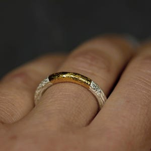 May include: A silver ring with a gold band. The ring has a textured surface.