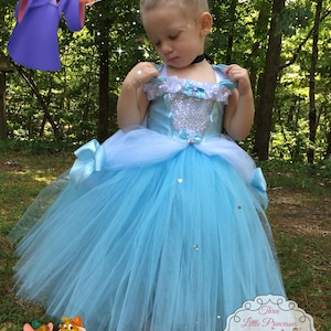 Cinderella Tutu Dress - Cinderella Costume - Cinderella Dress