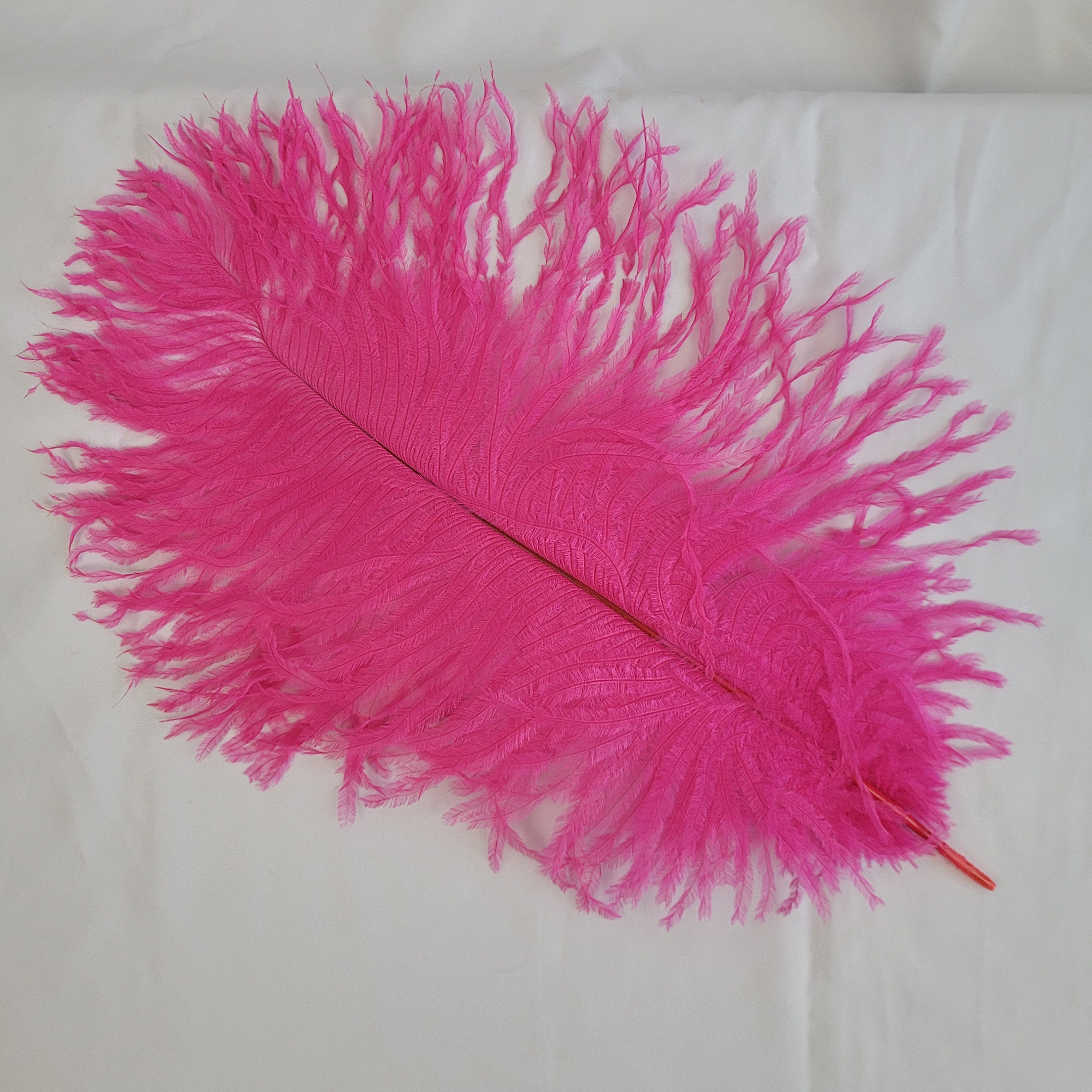  10/100pcs 30-35cm Ostrich Feathers,Fluffy Pink Ostrich Plume  Feathers For Vase Decoration Wedding Party Supplies Natural Ostrich Plume  Crafts Ostrich Feathers ( Color : Leather pink , Size : 10PCS ) 