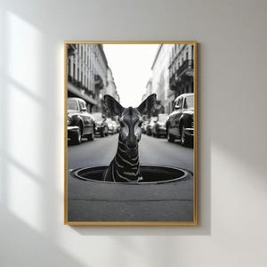 May include: Black and white framed art print featuring an okapi emerging from a manhole in a city street. The okapi's striped neck and head are the focal point, with vintage cars and buildings in the background.