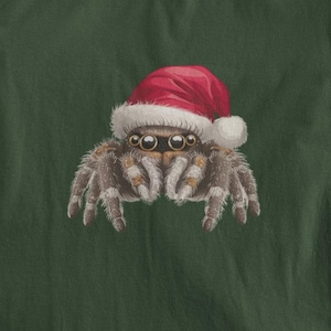Cute Jumping Spider  Santa for Christmas, shirt for the Arachnologists, Gift, Arachnology Shirt, Spider Lover Tee, Insect Shirt, Plus sizes