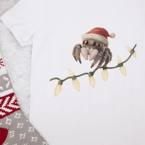 Cute Jumping Spider Christmas shirt for the Arachnologists, Gift, Arachnology Shirt, Spider Lover Tee, Insect Shirt, Plus sizes available