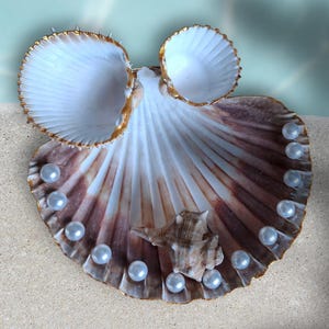 Scallop Shell Jewelry Holder with Golden Seashell Accents – Coastal Ring Dish, Ocean - Inspired Decor, Handmade from Croatia