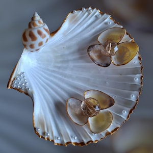 Scallop Shell Jewelry Dish – Real Seashells, Coastal Decor, Ring Holder, Wedding Gift, Ocean Theme