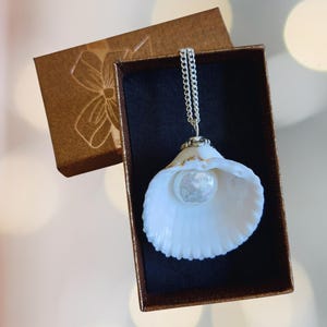 Seashell Necklace with Freshwater Pearl | Natural Seashell and Pearls Necklace | Beach Jewelry | Ocean Vibes | Seaside Beachy Pearl Pendant