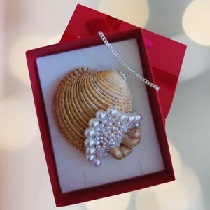 Cowrie Shell Necklace, Conch Shell Necklace, Seashell and Pearl Creation, Pearl Jewelry, Gift for Her, Real Shell, Ursula Necklace