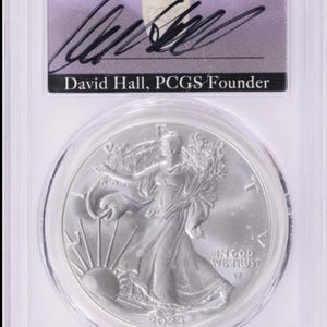 Silver Eagle 2023 Ms70 - Etsy