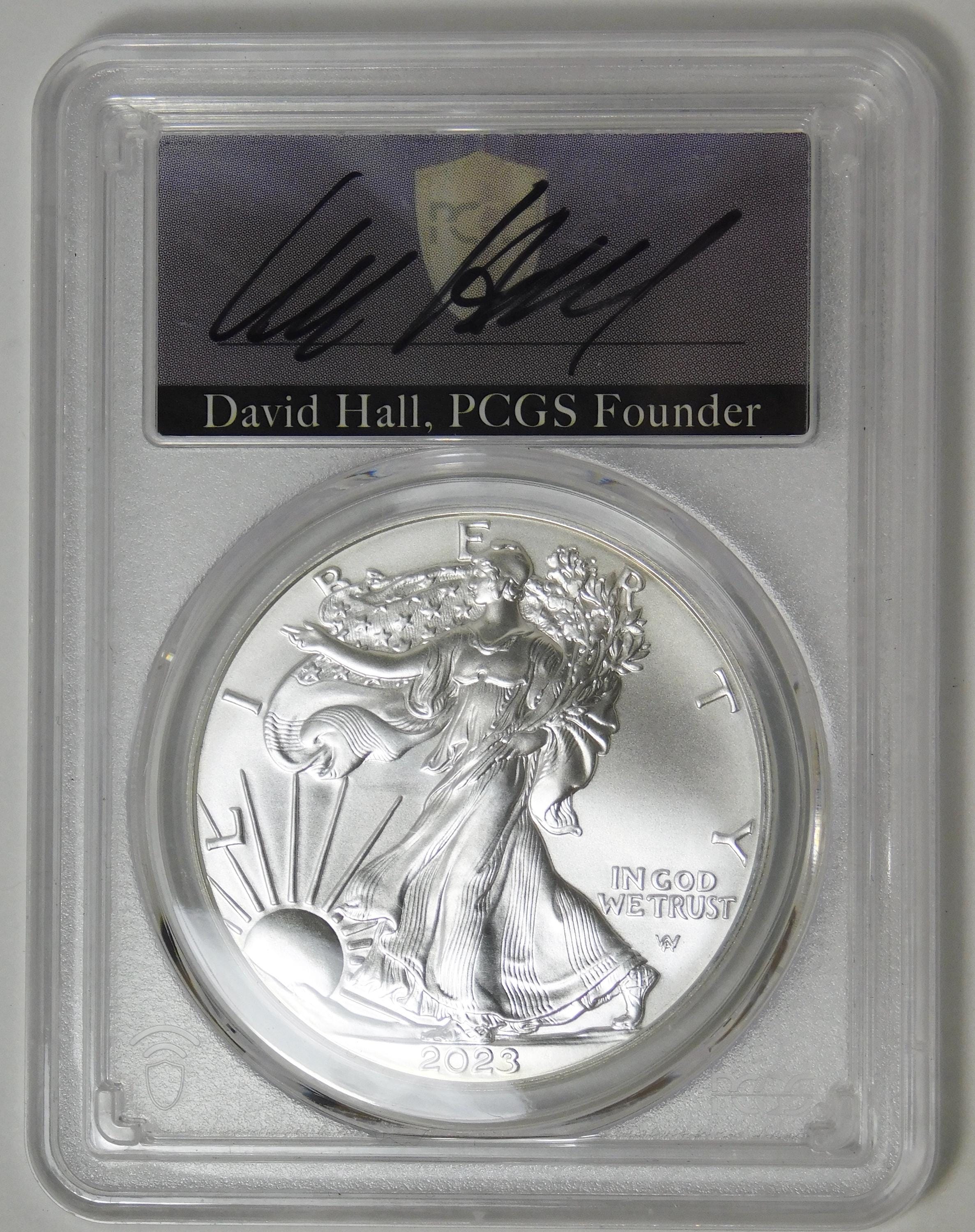 Silver Eagle 2023 Ms70 - Etsy