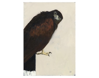 ORIGINAL OIL PAINTING Harris Hawk, Bird of Prey, Raptor