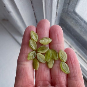 Op de afbeelding: Een verzameling groene glazen kralen in de vorm van bladeren. De kralen zijn doorschijnend en hebben een licht gematteerde afwerking.