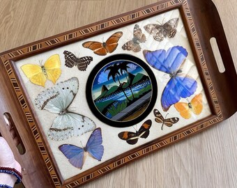 Butterfly Tray, Vintage Brazilian Morpho Butterfly Wing Serving Tray, Carlos Zipperer Wood Inlay, Butterfly Taxidermy, Natural History Decor