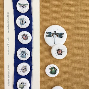 May include: A set of porcelain buttons featuring various insect designs, including a dragonfly, ladybirds, and beetles. The buttons are white with colourful insect illustrations. The buttons are displayed on a blue fabric background and a white card with the text "Porcelain BUTTONS".