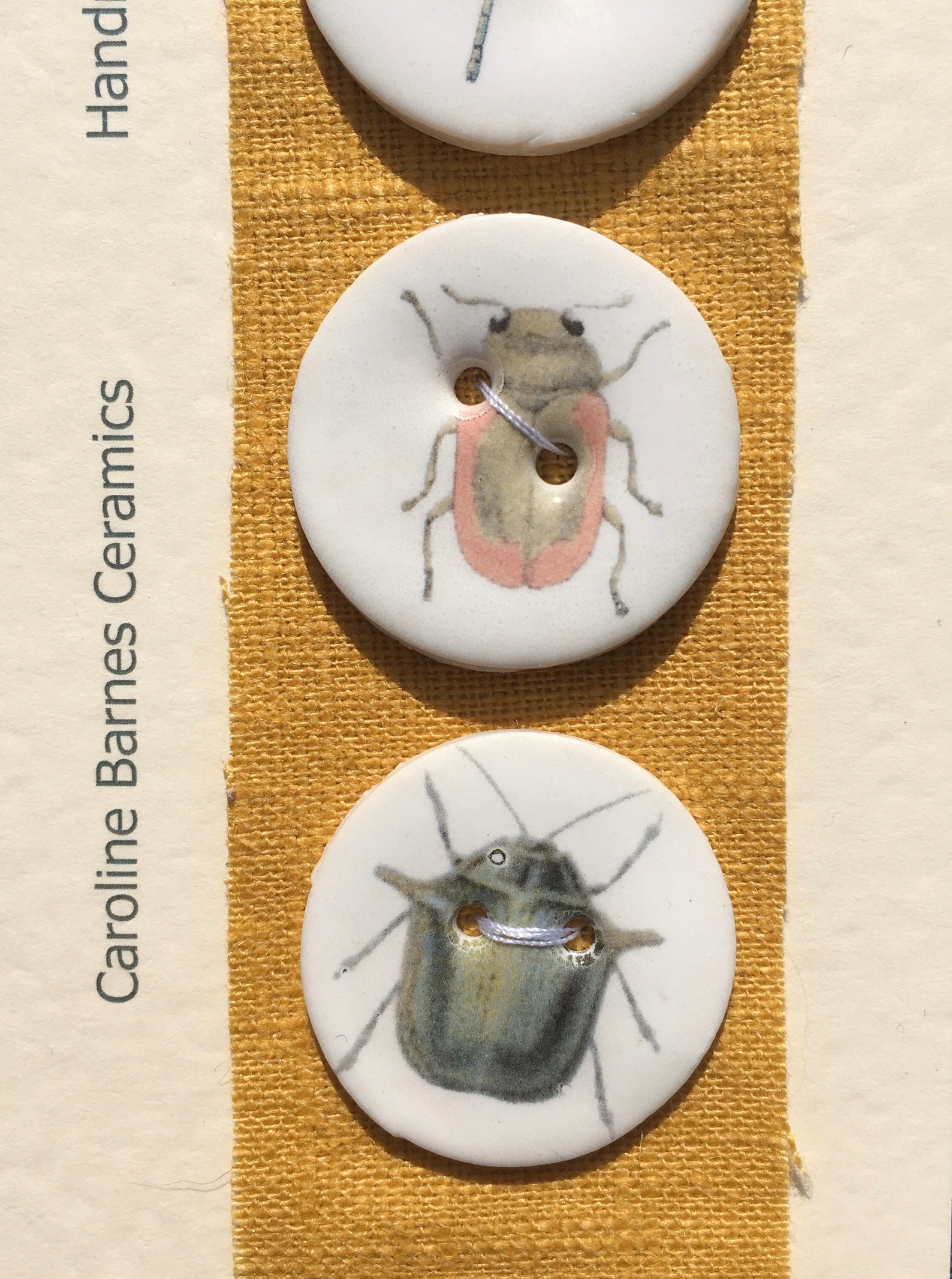 Set of 5 Porcelain Bug Buttons 3cm in Diameter - Etsy