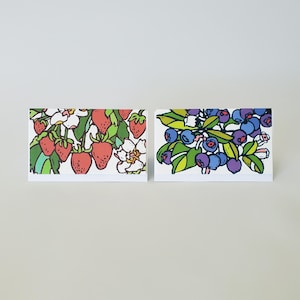 Puede incluir: Dos tarjetas rectangulares con ilustraciones de frutas. Una tarjeta presenta fresas rojas, hojas verdes y flores blancas. La otra tarjeta muestra arándanos azules y morados, hojas verdes y flores blancas.