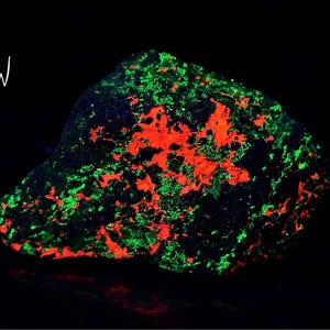 Willemite Calcite Franklinite UV Fluorescent Mineral Sample Franklin NJ E87