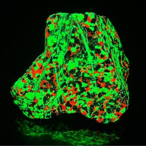 Willemite Calcite Franklinite UV Fluorescent Mineral Sample Sterling Hill NJ E55