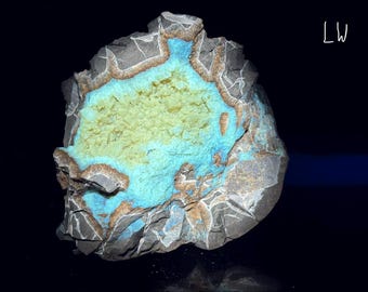 Septarian Utah UV Fluorescent Mineral Sample E200