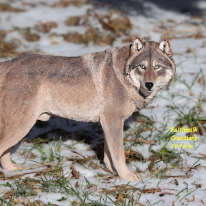 May include: A detailed sculpture of a wolf in a naturalistic pose, with a light brown and gray coat, and green eyes. The wolf stands in a snowy and grassy environment. The text "Faithwalk Creations Jill Porter" is visible.