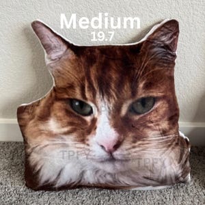 Custom Shaped Photo Pillow, 3D Face Pillow, Cat Pillow, Dog Lover Gift, Kids Room Decor, Funny Pillow, Personalized Gift, Double Sided