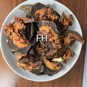 Puede incluir: Un cuenco blanco lleno de alimentos secos de color marrón oscuro y naranja. Los alimentos tienen un aspecto en capas con una superficie texturizada. Las letras "FH" están impresas en blanco sobre los alimentos.