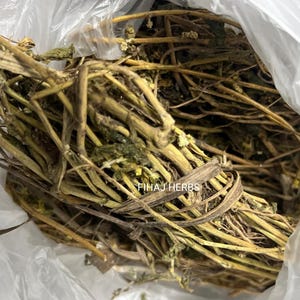 Ewe Aje Sefun Sefun (Wealth Leaf) 30g