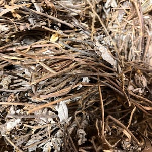 Ewe Orijin Mystical Leaves: Hannoa Undulata