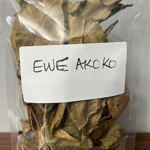 Ewe Akoko ( Yoruba fertility leaves), Aduruku ogirisi-Igbo), Newbouldia laevis 20pieces