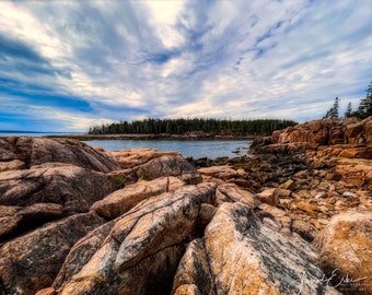 Ship Harbor Trail - Acadia National Park - Maine
