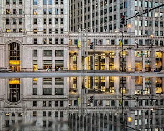 Chicago Reflection 1