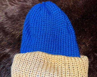 University of Michigan inspired winter hat