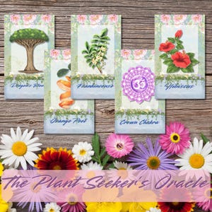 Oráculo do Buscador de Plantas: Baralho de Tarô de Cura de 56 Cartas para Orientação Espiritual e Manifestação