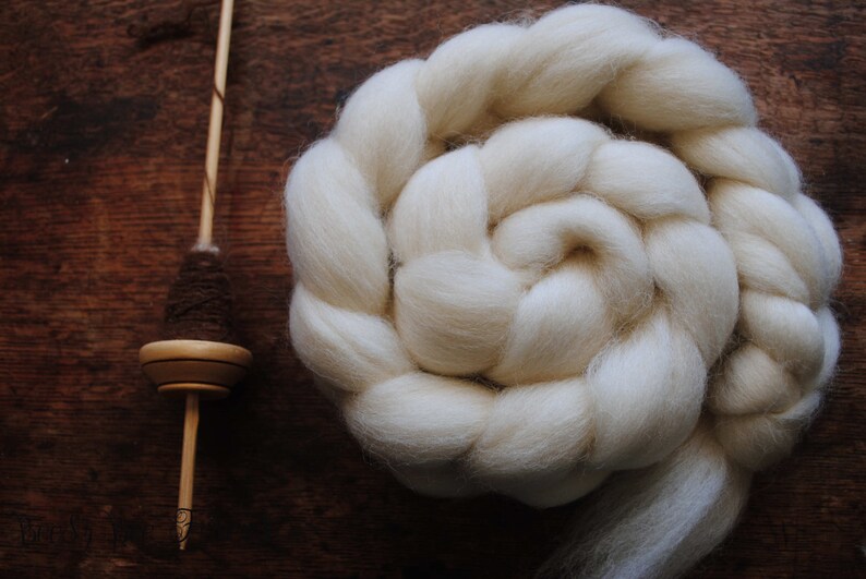 Puede incluir: Una lana blanca en roving est&aacute; enrollada en espiral, lista para hilar. Tambi&eacute;n se muestra una rueca de madera con un huso marr&oacute;n.