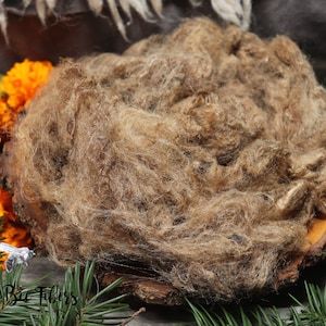 PEDUNCLE Silk Fiber - Raw Natural Organic Silk Tassar Spinning, Felting, Carding, Blending - 2 oz