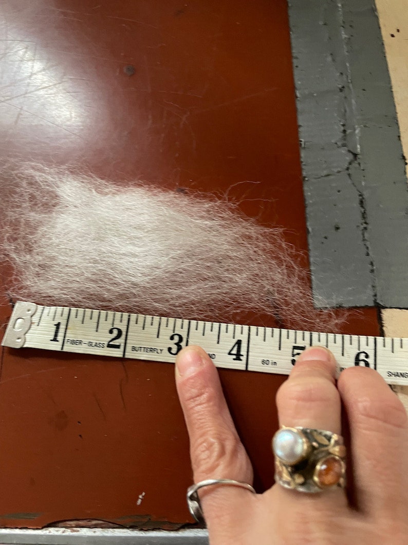 Puede incluir: Un mont&oacute;n de fibra blanca, de aproximadamente 7,6 cm de largo, se mide con una cinta m&eacute;trica. La cinta m&eacute;trica la sostiene una persona que lleva anillos. El fondo es una superficie de color marr&oacute;n rojizo.